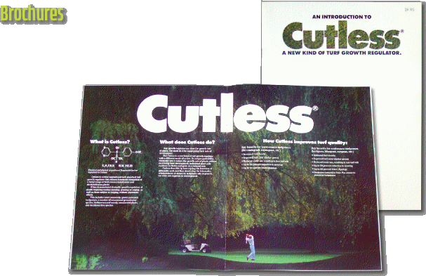 Brochures